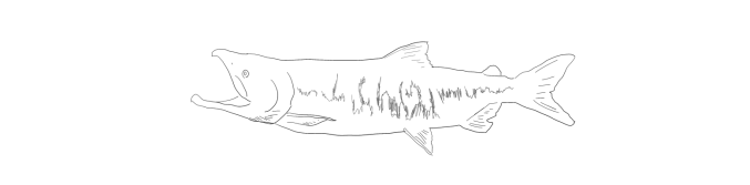 Adobe_20180411_091101